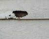 Replacing Rotten Wood Siding | A Pros Guide For Homeowners