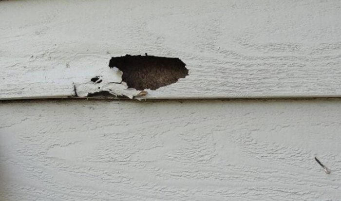 Replacing Rotten Wood Siding | A Pros Guide For Homeowners Replacing Rotten Wood Siding | A Pros Guide For Homeowners